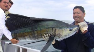 big fish, San Juan del Sur, Nica adventures travel